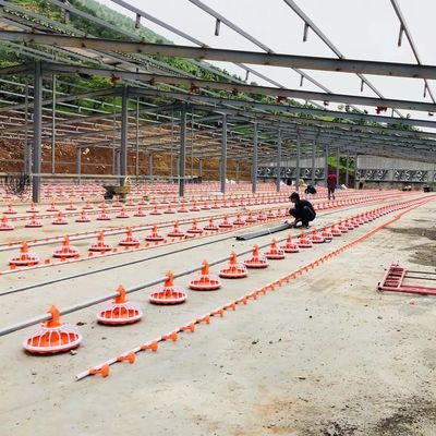 อุปกรณ์ฟาร์มสัตว์ปีก 4 กระทะ/3 ม. ระบบให้อาหารอัตโนมัติ 380v