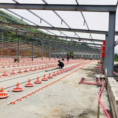 เครื่องเลี้ยงสัตว์ปีก Dia 45mm เหล็กชุบสังกะสีสำหรับผลิตภัณฑ์ไก่เนื้อ