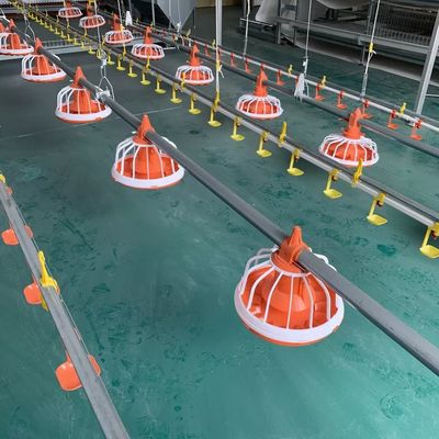 EO Feeding Poultry Farm Equipment ระบบให้อาหารอัตโนมัติสำหรับสัตว์ปีก รับประกัน 1 ปี