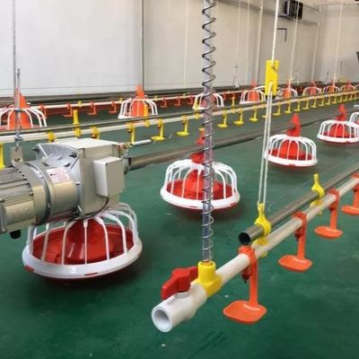 อุปกรณ์ฟาร์มสัตว์ปีก OEM 30KG เครื่องป้อนสัตว์ปีกอัตโนมัติสำหรับไก่เนื้อ