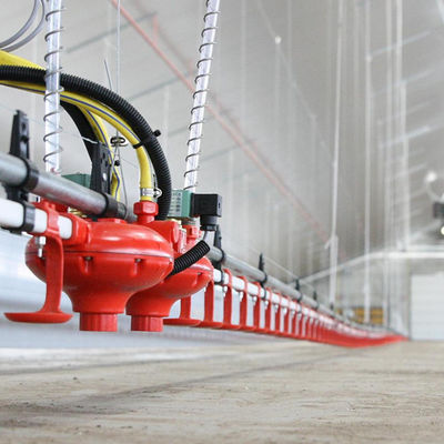 เครื่องป้อนสัตว์ปีกวัสดุพลาสติกและเครื่องดื่มใช้เวลานาน