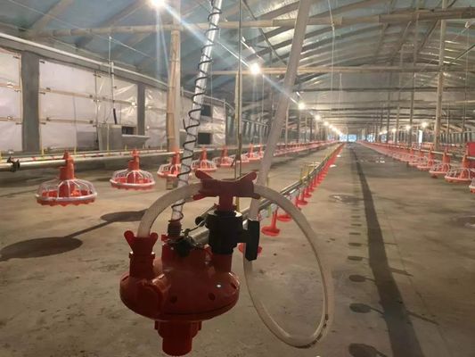 อุปกรณ์ป้อนไก่ 4 กระทะ / 3 ม. 380v 0.75kw พร้อมอุปกรณ์ขับเคลื่อน